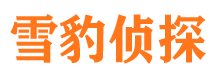 锡山市场调查